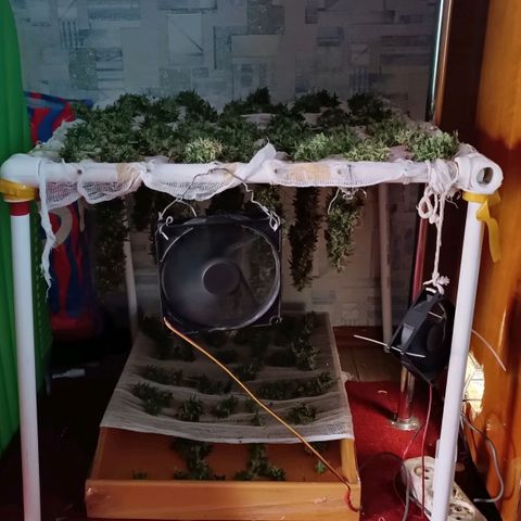 Джонни Кейдж 2  growlog timeline photo