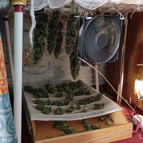 Джонни Кейдж 2  growlog timeline photo