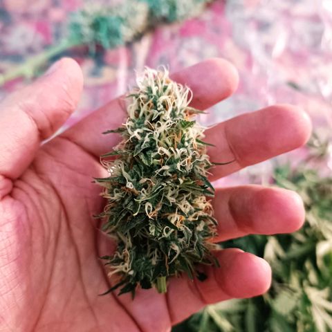 Джонни Кейдж 2  growlog timeline photo