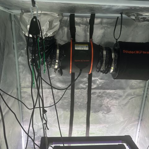 Zunami growlog photo: Filter aufgehangen
