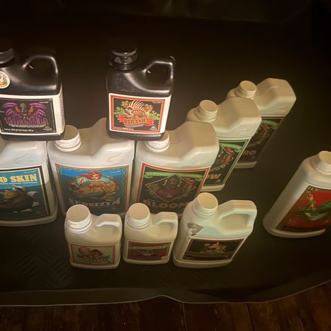 Zunami growlog timeline photo
