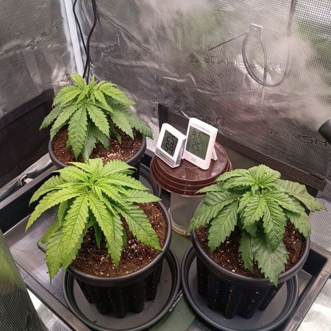Channel+ growlog photo: Tag 24