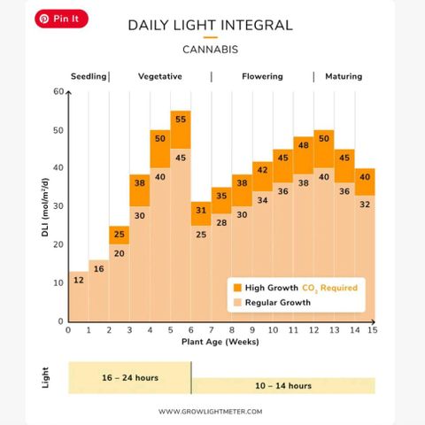 Channel+ growlog photo: Charts