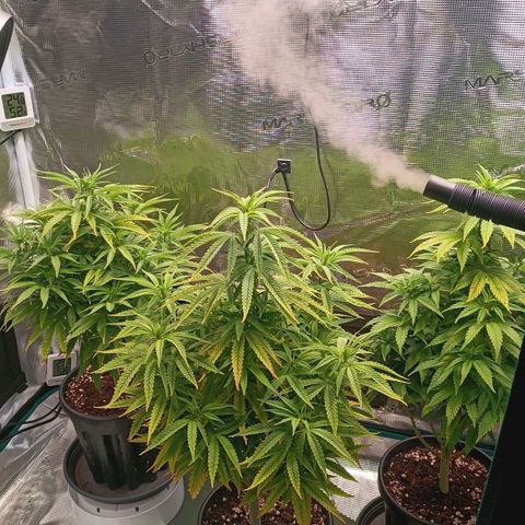 Channel+ growlog photo: Tag 62