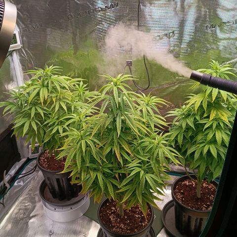 Channel+ growlog photo: Tag 63