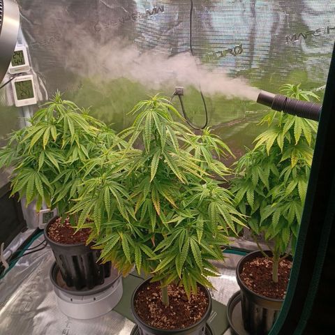 Channel+ growlog photo: Tag 64