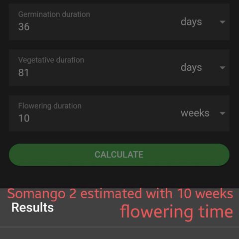 Somango XXL #2 growlog timeline photo