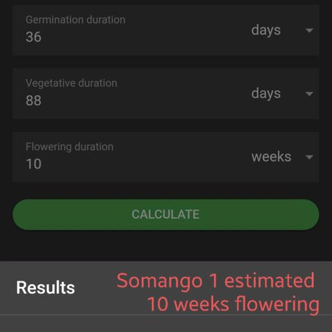 Somango XXL #1 growlog timeline photo