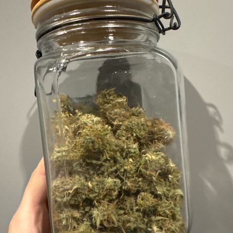 Auto AK47 growlog timeline photo