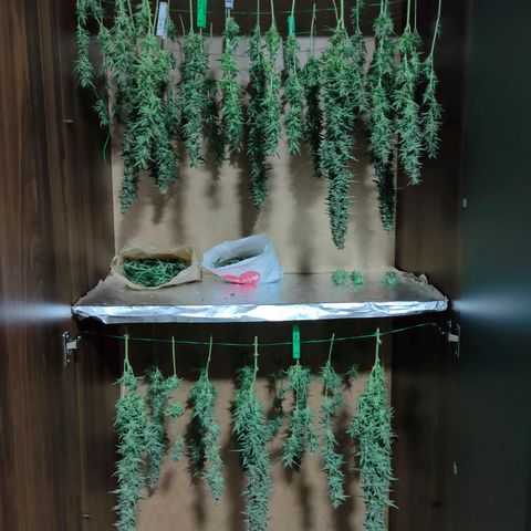 Skywalker  growlog timeline photo
