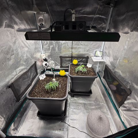 Permanent Marker growlog timeline photo