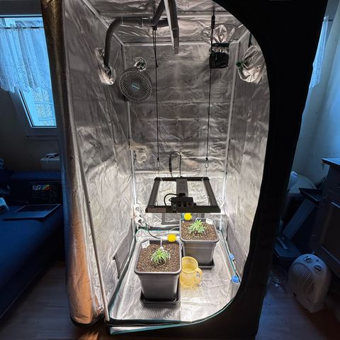 Permanent Marker growlog timeline photo