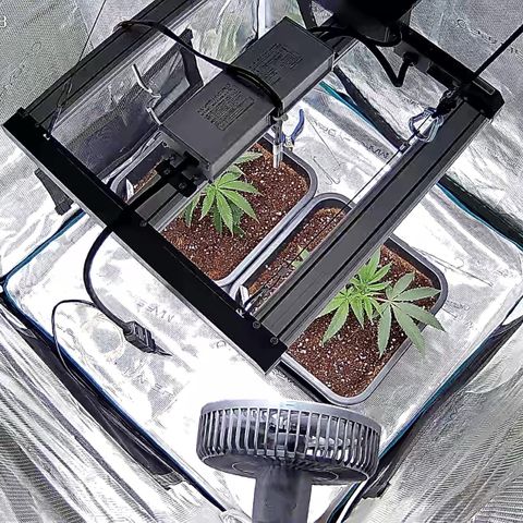 Permanent Marker growlog timeline photo