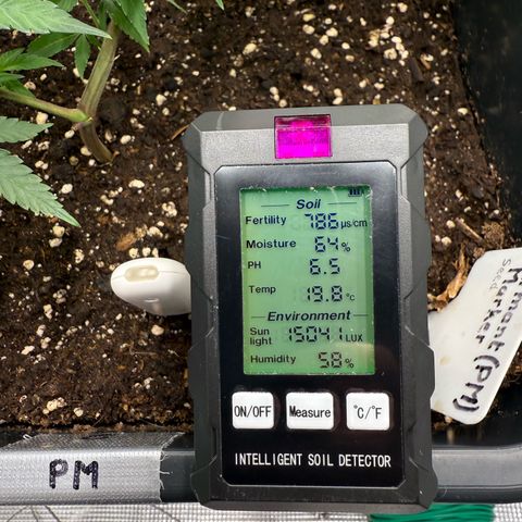 Permanent Marker growlog timeline photo