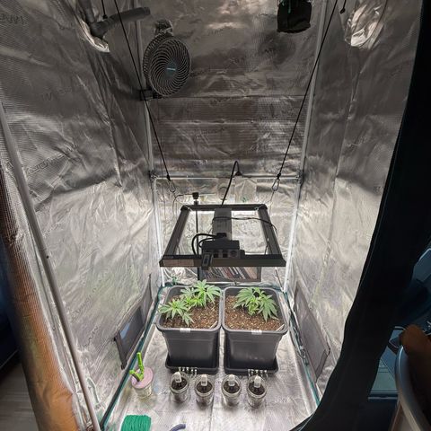 Permanent Marker growlog timeline photo