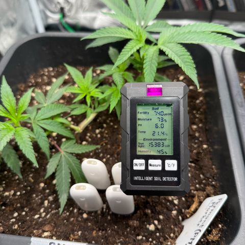 Permanent Marker growlog timeline photo