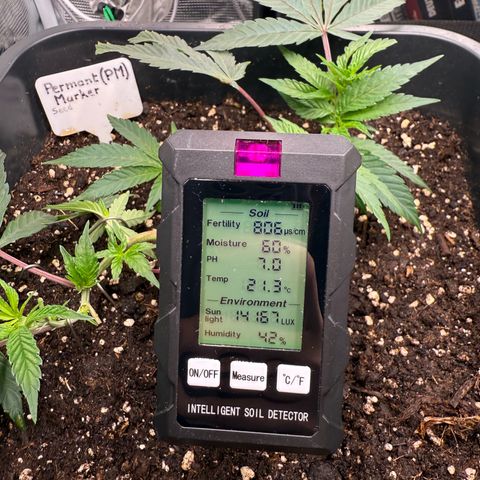 Permanent Marker growlog timeline photo