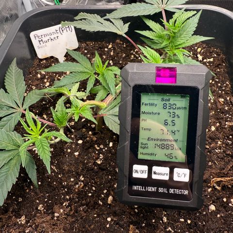 Permanent Marker growlog timeline photo