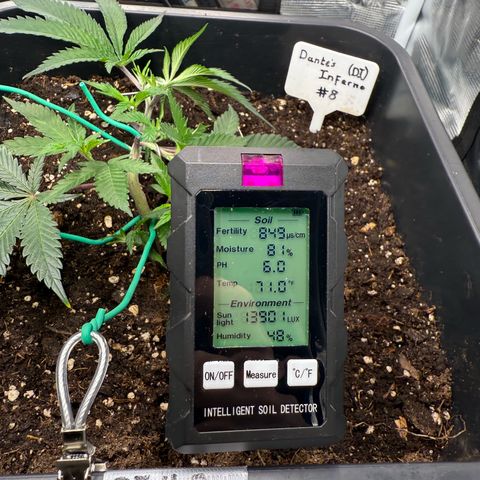 Dante‘s Inferno #8 growlog timeline photo