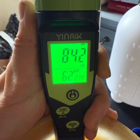 Permanent Marker growlog timeline photo