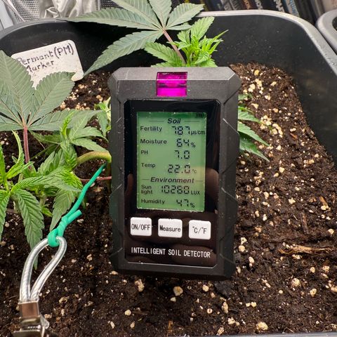 Permanent Marker growlog timeline photo