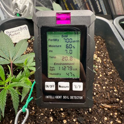 Permanent Marker growlog timeline photo