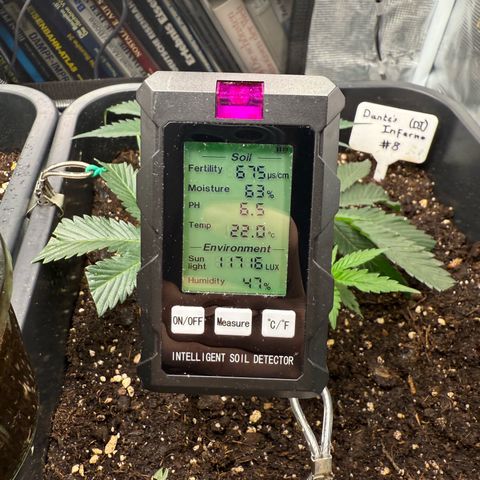Dante‘s Inferno #8 growlog timeline photo