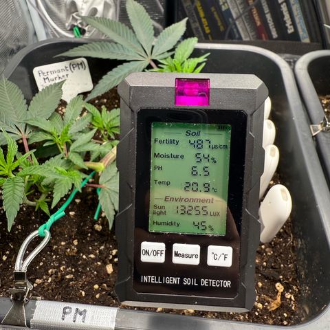 Permanent Marker growlog timeline photo