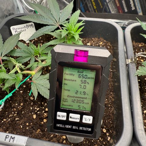 Permanent Marker growlog timeline photo