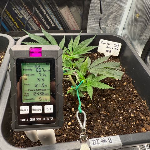 Dante‘s Inferno #8 growlog timeline photo