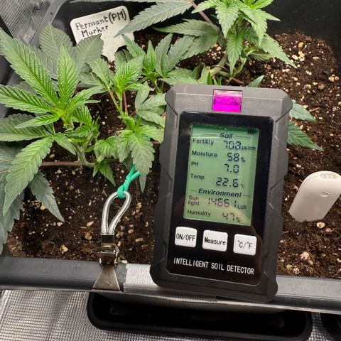 Permanent Marker growlog timeline photo
