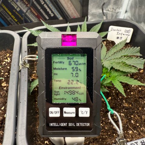 Dante‘s Inferno #8 growlog timeline photo