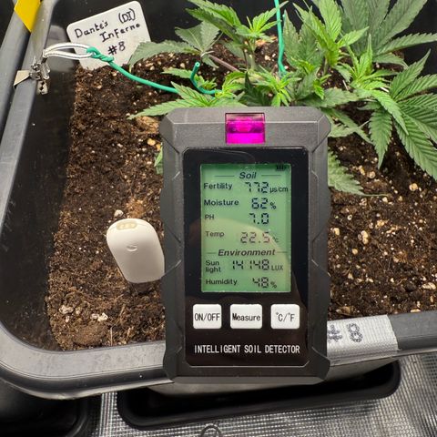 Dante‘s Inferno #8 growlog timeline photo
