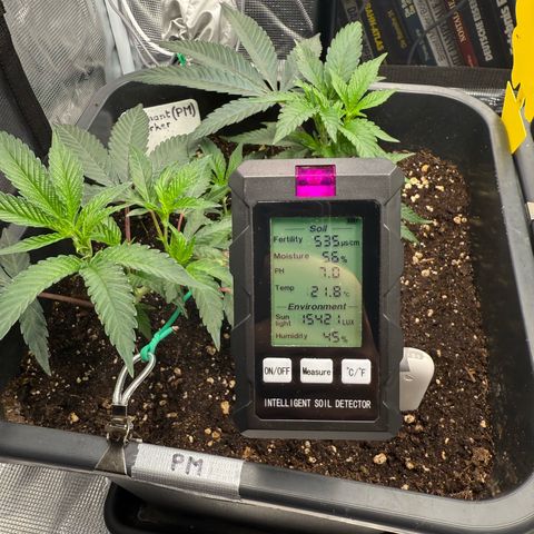 Permanent Marker growlog timeline photo