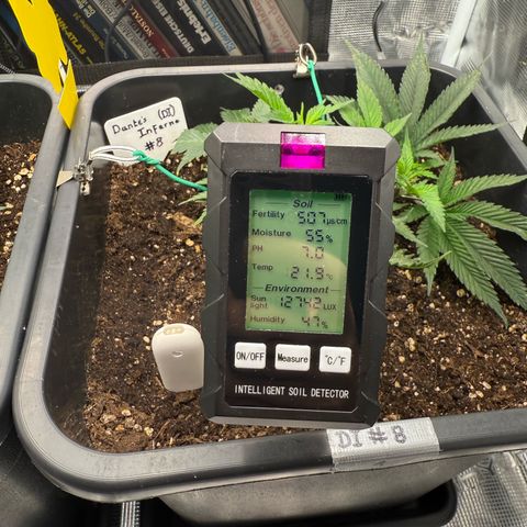 Dante‘s Inferno #8 growlog timeline photo
