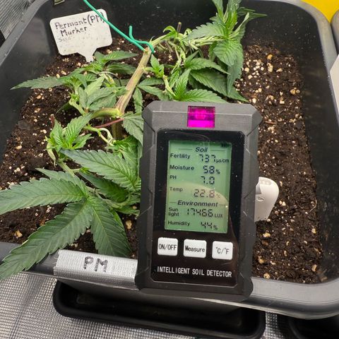 Permanent Marker growlog timeline photo