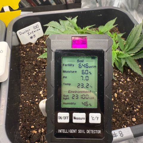 Dante‘s Inferno #8 growlog timeline photo