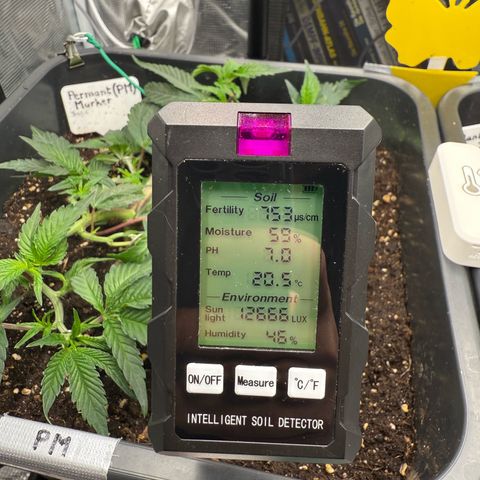 Permanent Marker growlog timeline photo