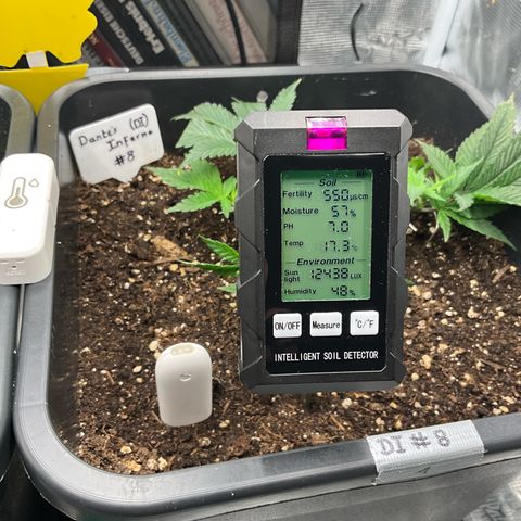 Dante‘s Inferno #8 growlog timeline photo