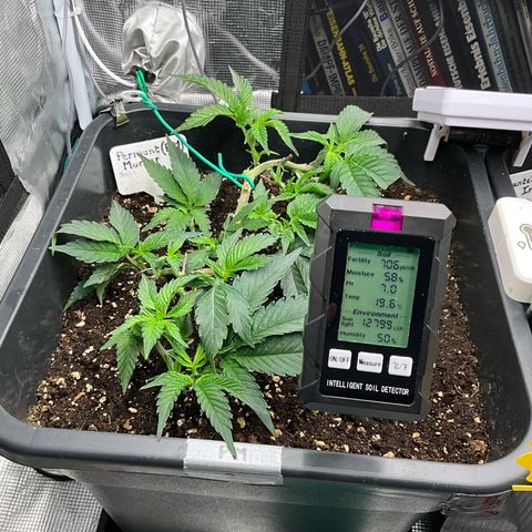 Permanent Marker growlog timeline photo