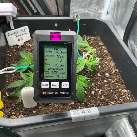 Dante‘s Inferno #8 growlog timeline photo