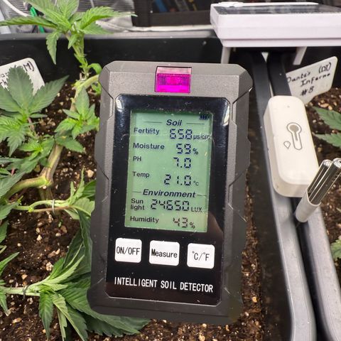 Permanent Marker growlog timeline photo