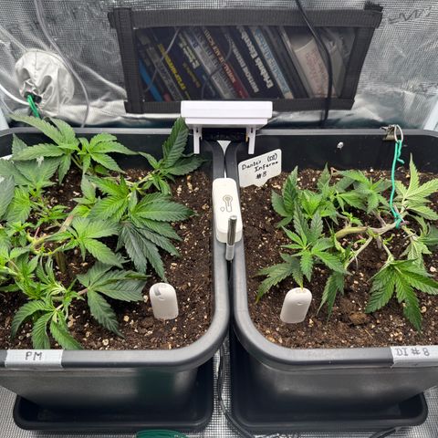Permanent Marker growlog timeline photo