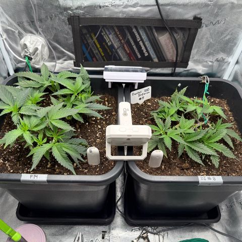 Permanent Marker growlog photo: 13:40