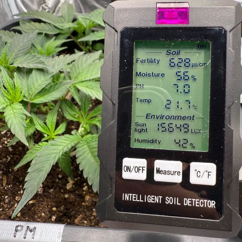 Permanent Marker growlog photo: 13:40