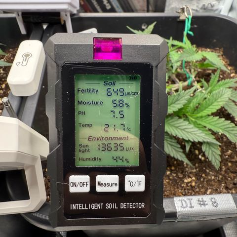 Dante‘s Inferno #8 growlog photo: 13:40