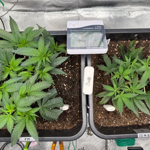 Permanent Marker growlog photo: 10:15