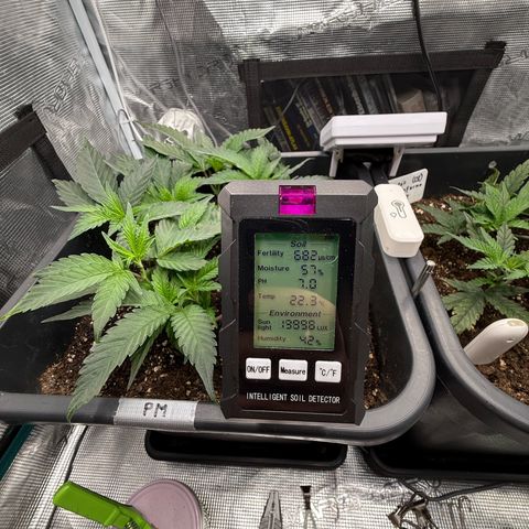 Permanent Marker growlog photo: 10:15