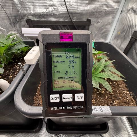 Dante‘s Inferno #8 growlog photo: 10:15