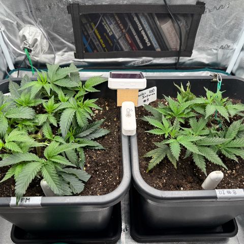 Permanent Marker growlog photo: 10:30